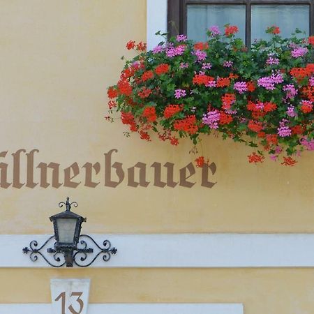 Muellnerbauer Apartment Napplach Exterior photo